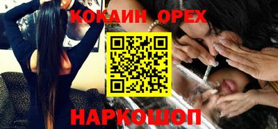 гидра Новодвинск