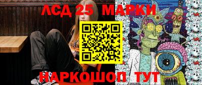 гидра Новодвинск