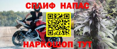 гидра Новодвинск
