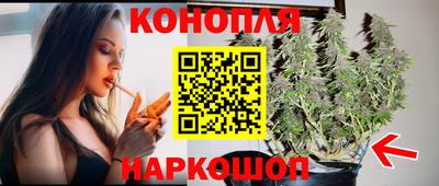 спиды Новозыбков