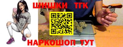 гидра Новодвинск